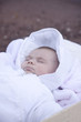 baby asleep in box