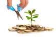 Make money concept. Make money concept.