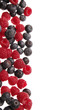 Foto: himbeeren und heidelbeeren himbeeren und heidelbeeren