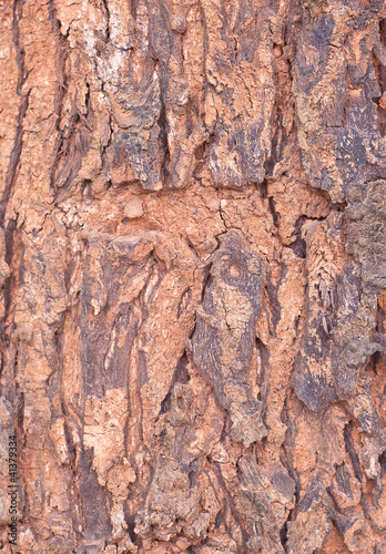 Photo: Abstract Wood texture and background Abstract Wood texture and background