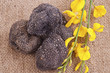 Freshly harvested black truffle