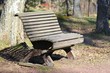 Bench in a park