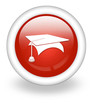 Light Red Icon 