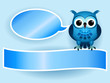 Owl making baby boy announcement Owl making baby boy announcement