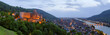 Heidelberg