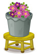 pot plant