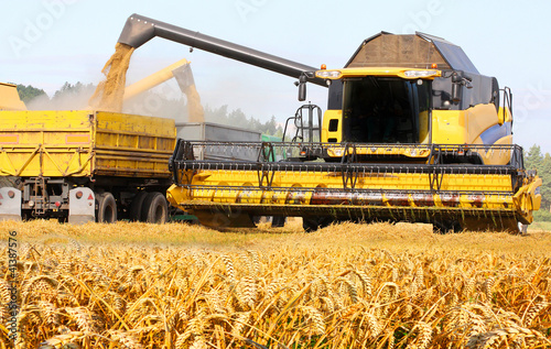 Photo: Combine harvesting wheat. Combine harvesting wheat.
