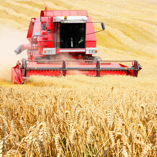 Photo: Combine harvesting wheat. Combine harvesting wheat.