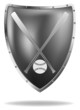 baseball shield
