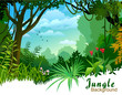 AMAZON JUNGLE TREES AND WILDERNESS
