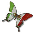 Mexican flag on butterfly