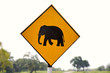 Yellow Elephant wanring sign on the road in Sri Lanka