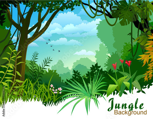 Vector: AMAZON JUNGLE TREES AND WILDERNESS AMAZON JUNGLE TREES AND WILDERNESS