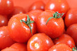 Fresh riped tomatoes