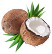 Coconut on a white background