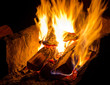 burning campfire