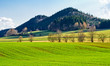 Spring view