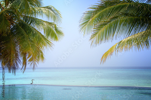 Photo: Luxury tropical Infinity Pool on the Maldives Luxury tropical Infinity Pool on the Maldives
