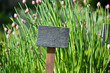 Schnittlauch Tafel frische Kräuter Garten