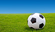 Fussball auf dem Rasen