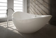 Modern Luxury Bathroom Design Interior