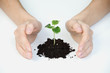 Hand and plant isolated on white background Hand and plant isolated on white background
