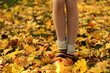 Autumn Girl NTSC