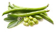Foto: Fave con baccelli e fiore Fave con baccelli e fiore