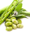 Foto: Baccelli di fave con fiore Baccelli di fave con fiore