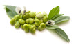 Fave