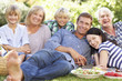 Family with picnic in park