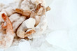 Frozen prawns
