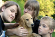 Photo: Three Brothers and New Golden Three Brothers and New Golden