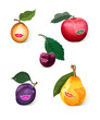 Set of 5 smiling fruits: apple, pear, prune, apricot, cherry. Set of 5 smiling fruits: apple, pear, prune, apricot, cherry.