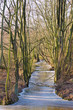 Spreewald im Winter - Spree Forest in winter 01