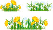 collection of herbs and flowers