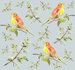 Seamless background. Illustration of birds.