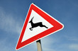 achtung wildwechsel