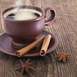 Cup of coffee with cinnamon and anise
