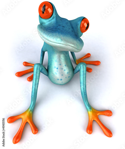Foto: Blue frog Blue frog