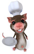 Souris chef