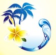 Summer background Summer background