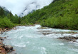 Alps river summer view