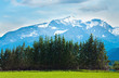 Alps summer view