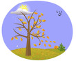 Autumn landscape.