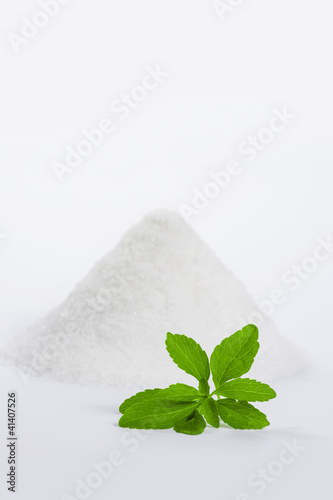 Photo: Stevia mit Zuckerberg 1 Stevia mit Zuckerberg 1