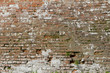 Brick wall background Brick wall background