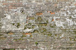 Brick wall background Brick wall background