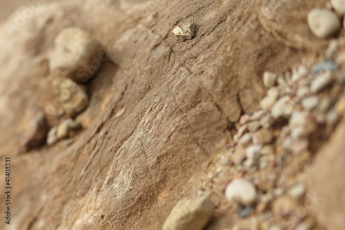 Photo: Dry soil texture Dry soil texture