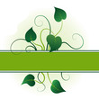 Green leaves, summer background